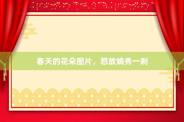 春天的花朵图片,怒放娟秀一刹