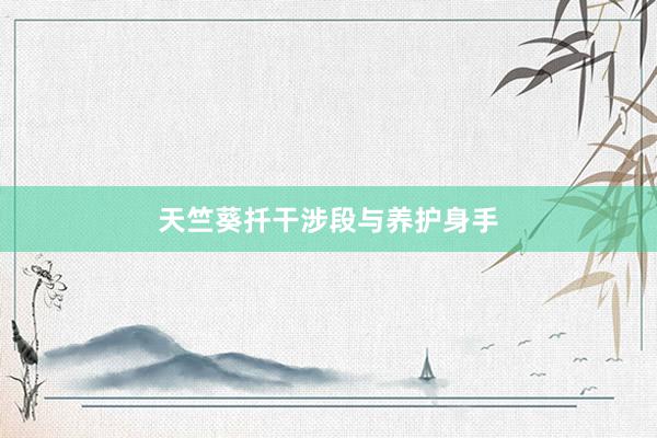 天竺葵扦干涉段与养护身手